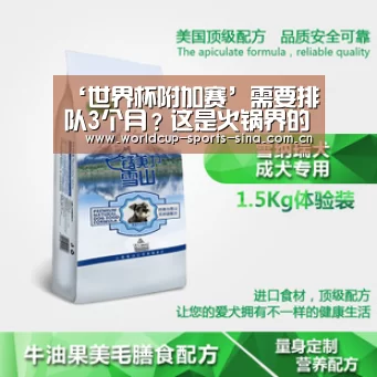 世界杯附加赛