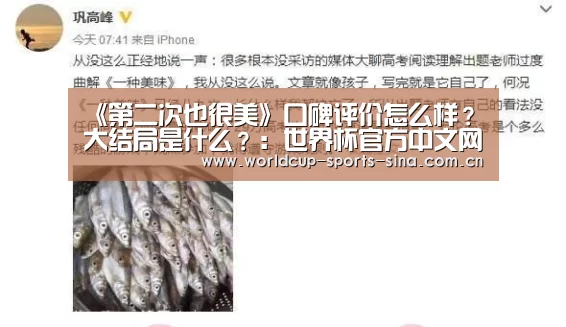 《第二次也很美》口碑评价怎么样？大结局是什么？：世界杯官方中