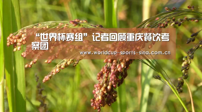 世界杯官方中文网