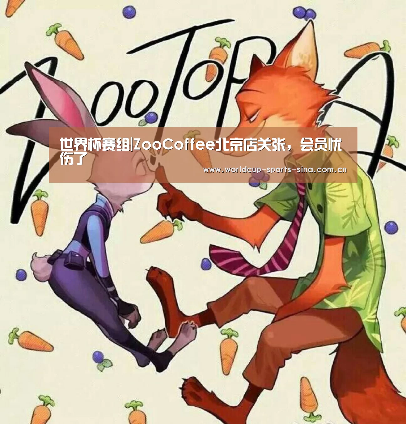 世界杯赛组