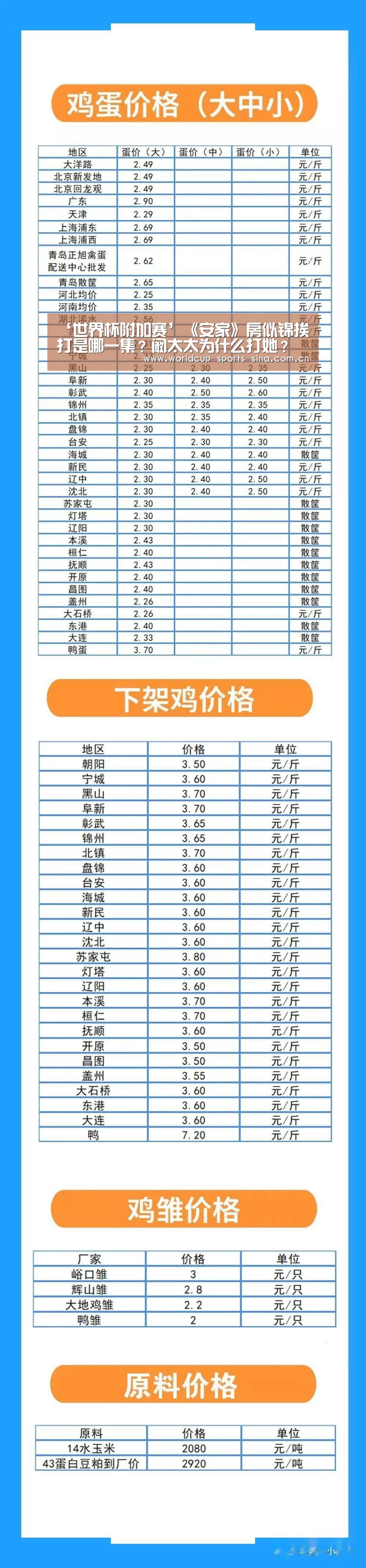 世界杯赛组