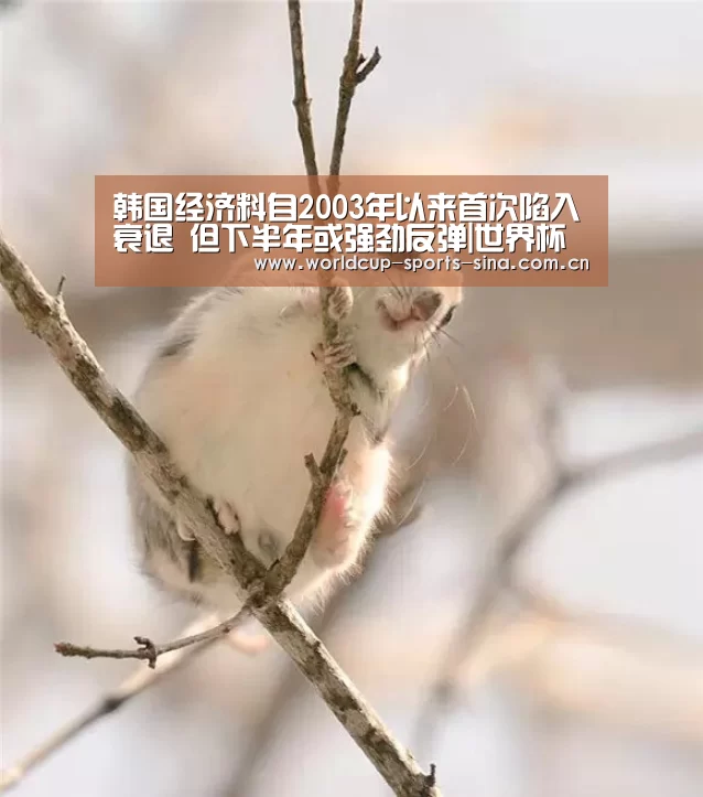 韩国经济料自2003年以来首次陷入衰退 但下半年或强劲反弹|